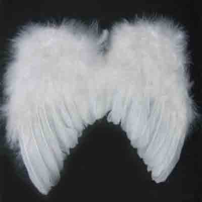 Angel wings - WHITE (fehér)